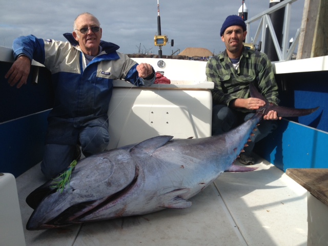 ANGLER: Charley Agius SPECIES: Southern Bluefin Tuna  WEIGHT: 125 kg. LURE: 6.5″ Lumo Micro Dingo